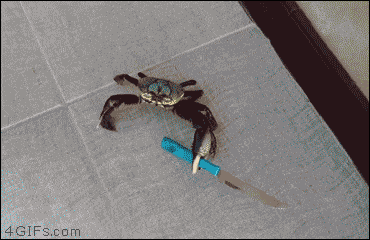 bc9d38e0275bcc6a122ef0a42203bc30_1643078062_6857.gif