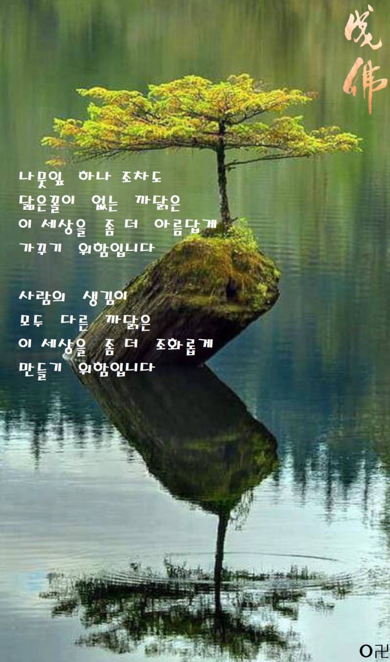 4e7342229cf27e19a65451aa953d0908_1641938069_9233.jpg
