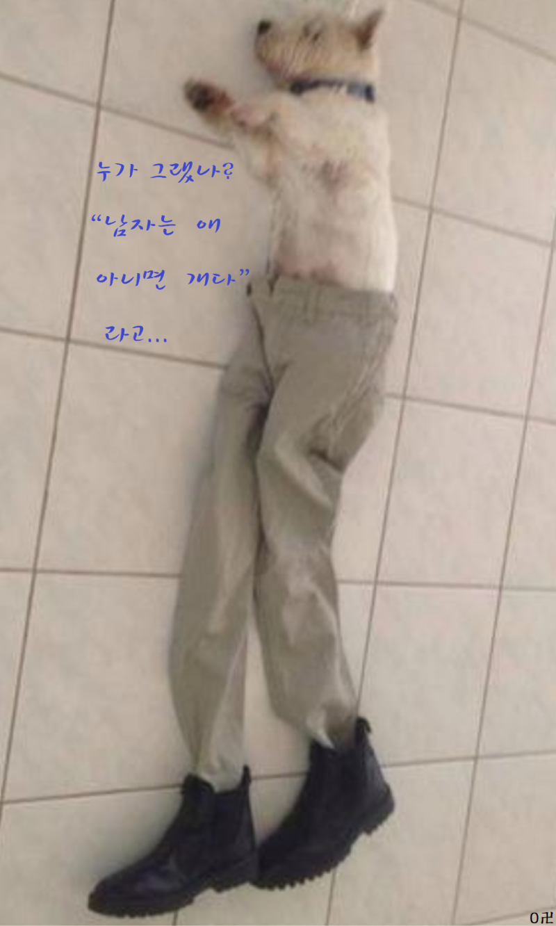 b91e82866767a83020f42dd673b02e1a_1643868060_8972.png